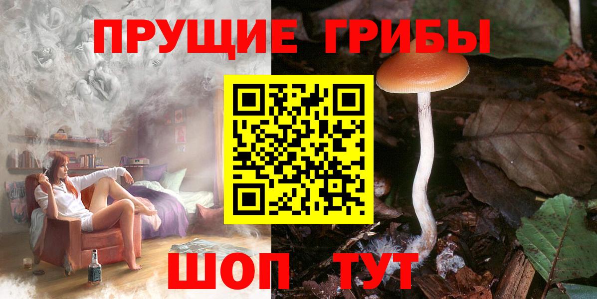 Галлюциногенные грибы Cubensis Черняховск