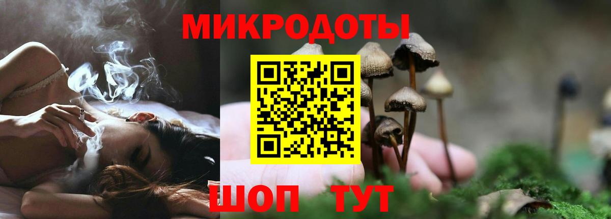 Черняховск  Галлюциногенные грибы мицелий  Вход с VPN  Псилоцибиновые грибы Magic Shrooms 